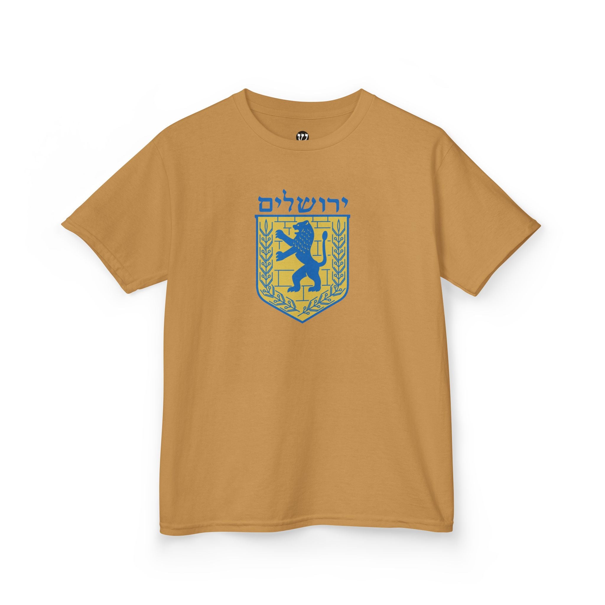 Jerusalem Kids Tee, Colorful Kids T-Shirt, Youth Graphic Tee, Unique Kids Apparel, Gifts for Children, Fun Birthday Gifts